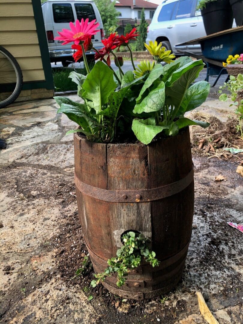 Wooden barrel planter filled with flowers sitting on top of a sidewalk