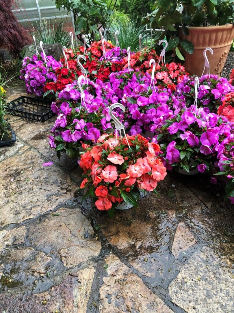 Bunch of colorful flowers sitting on top of a stone floor, with a variety of plants