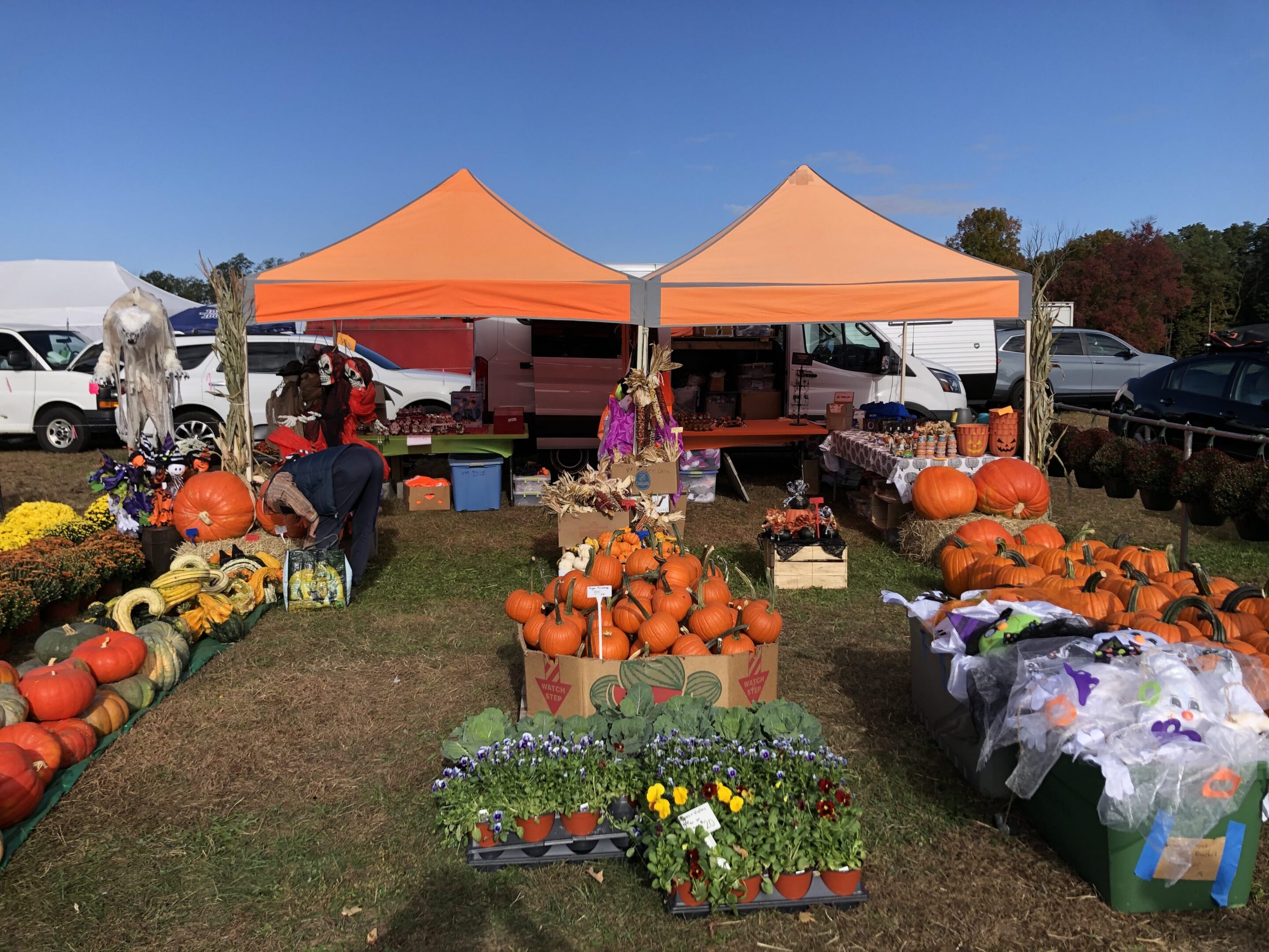 Field filled with lots of pumpkins and flowers, with a person standing in the foreground