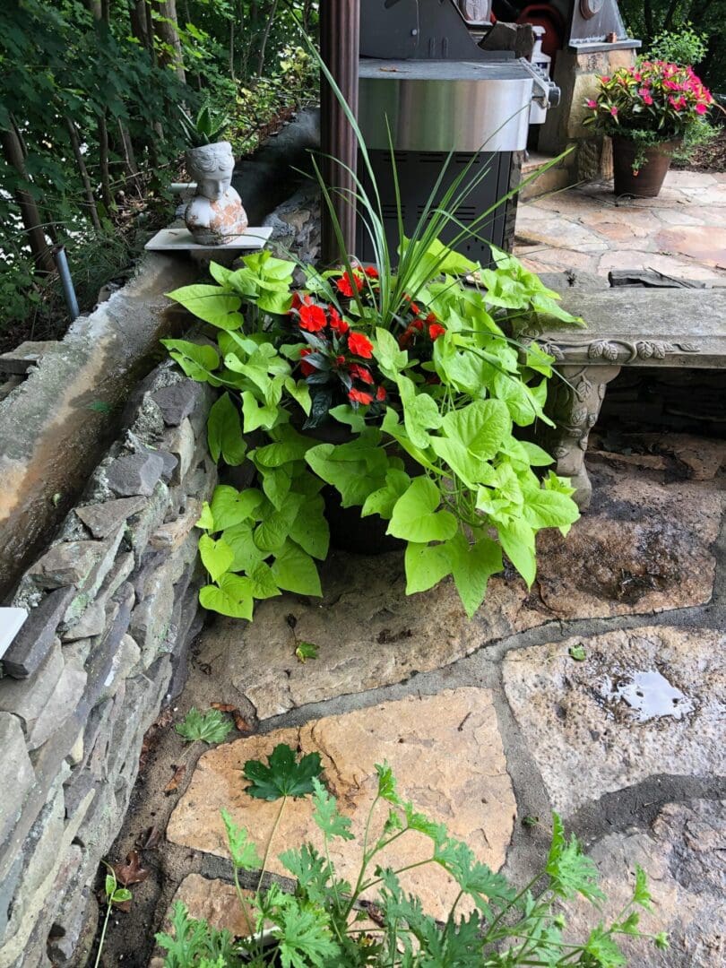 Stone wall with a potted plant sitting on top of it, surrounded by lush green grass and trees