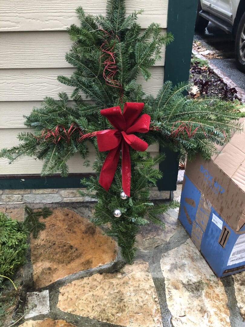 Tree with a red bow on it in front of a house, surrounded by plants and cardboard boxes