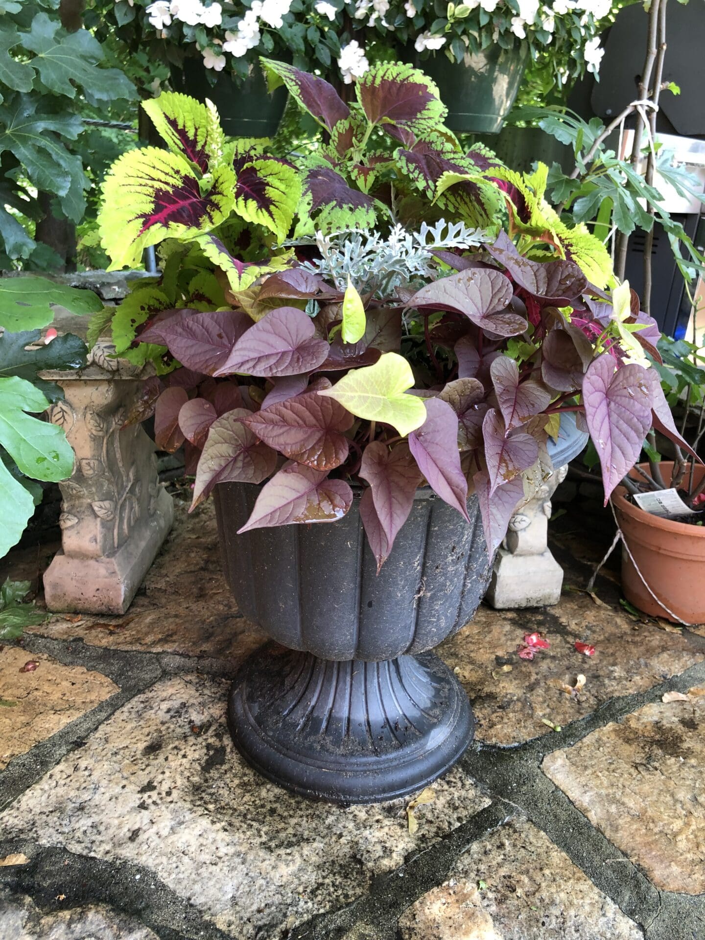 Large urn filled with a variety of plants sitting atop a stone floor