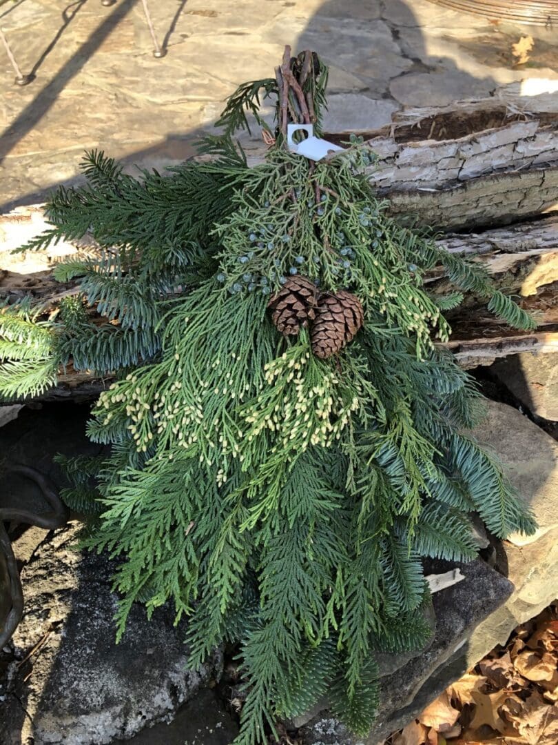 Christmas tree made out of evergreen branches and pine cones sitting atop a rock, surrounded by leaves and wooden logs