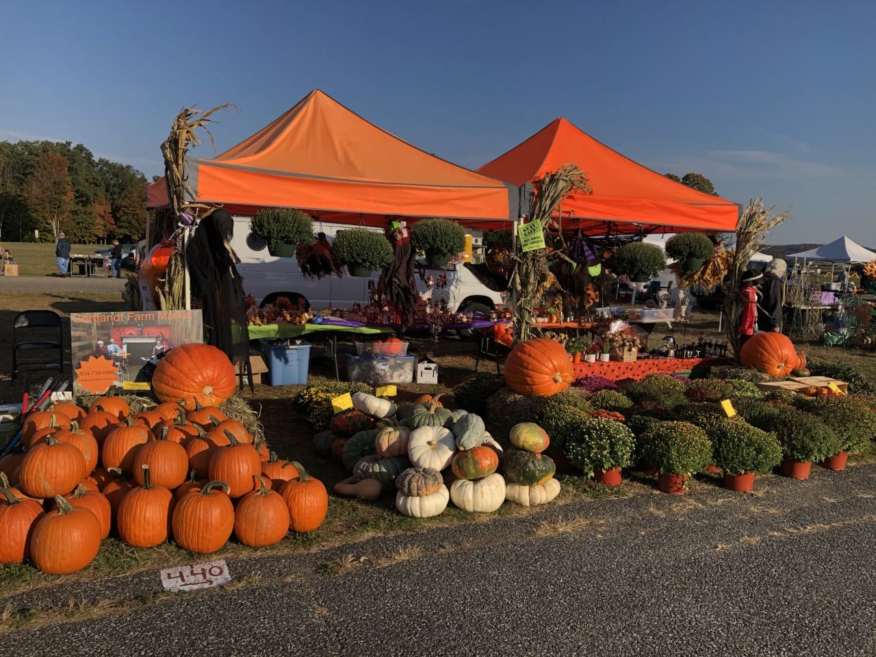Pumpkin patch with a variety of pumpkins and gourds on display at a farmers market