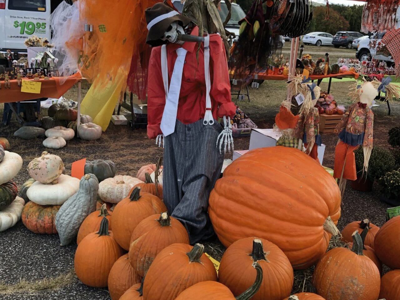 Man standing in front of a pile of pumpkins at a pumpkin patch