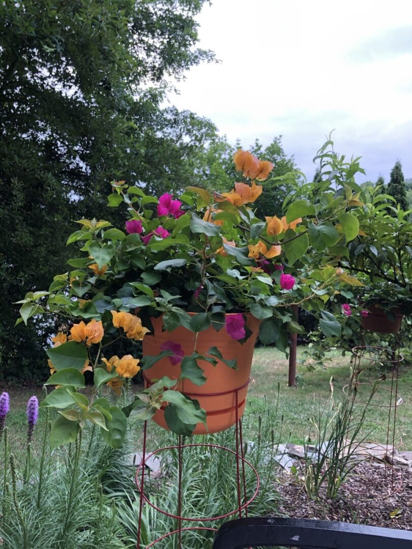 Potted plant with vibrant orange and pink flowers sitting atop a metal stand in a garden