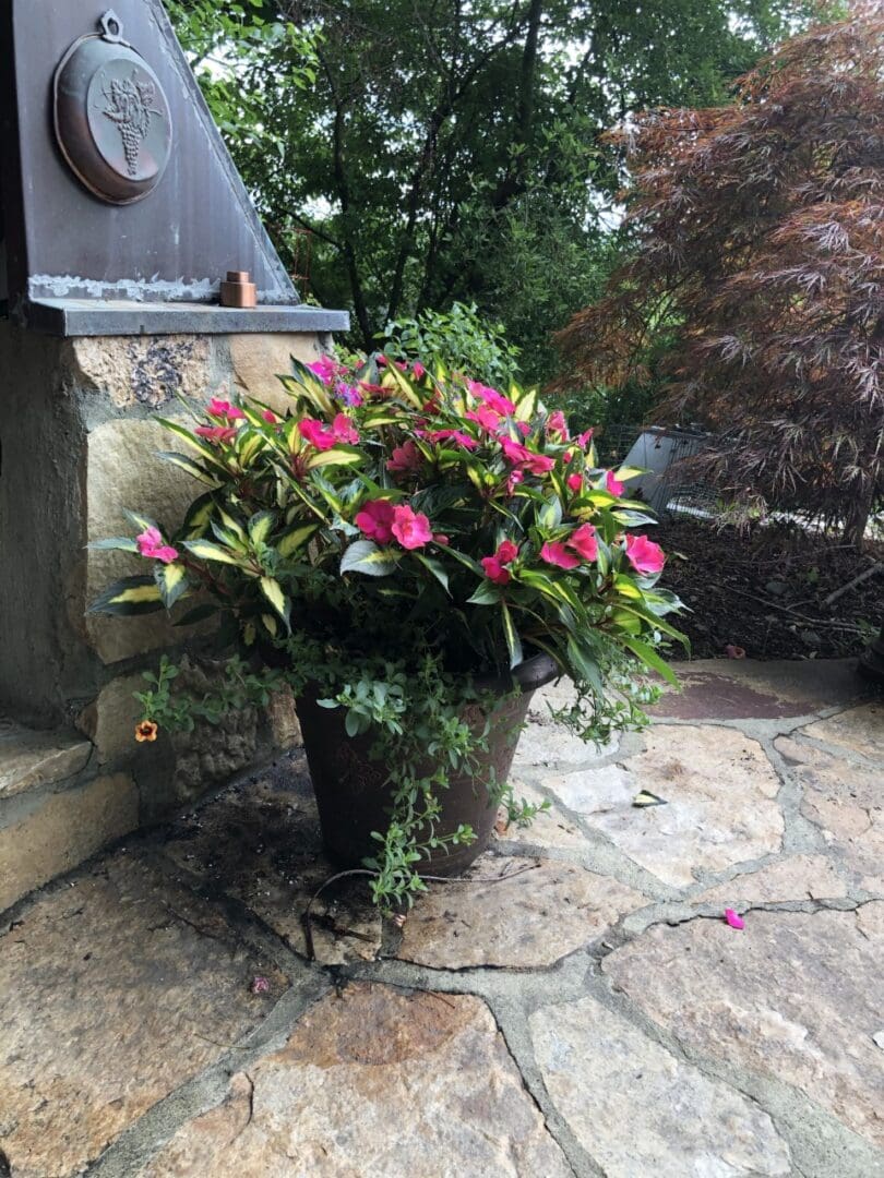 Potted plant with pink flowers sitting on top of a stone patio, surrounded by trees and a clear blue sky