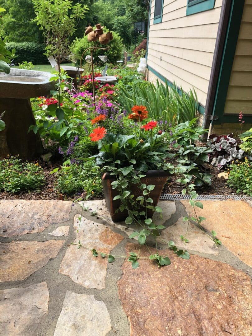 Potted plant sitting on top of a stone patio next to a house, surrounded by a variety of colorful flowers