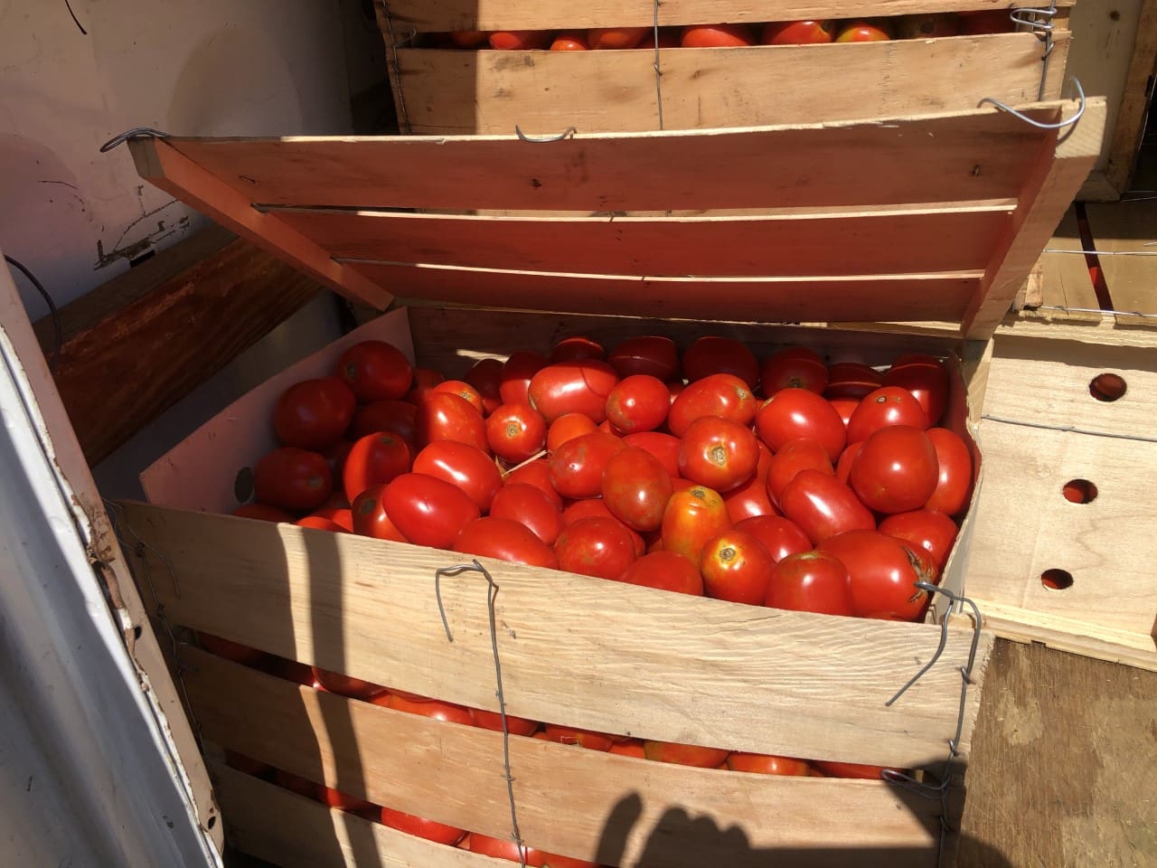 Wooden crate filled with lots of red tomatoes sitting on top of a table
